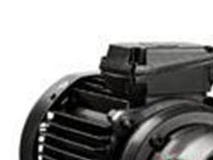 土耳其BALKAN MOTOR電機