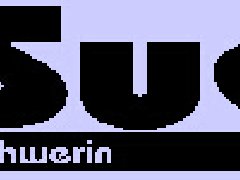 德國SuS彈性軸承